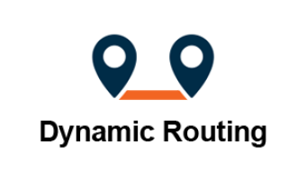 dynamic-routing dynamic-routing